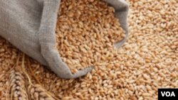 Ucrania Rusia renovación acuerdo cereales