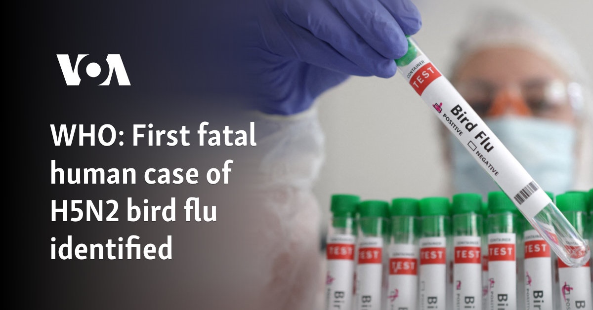 WHO: First Fatal Human Case Of H5N2 Bird Flu Identified