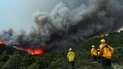 Argentina: Incendios forestales reserva natural