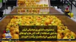 محصولات کشاورزی صادراتی ایران به دلیل استفاده از آفت کش‌ها و کودهای شیمیایی غیراستاندارد برگشت خوردند