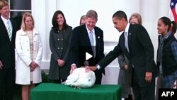 Presidenti Barak Obama fal dy gjela deti në prag të ditës së Falenderimeve