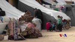 Bi Hezaran Sûrî ji Şer Xwe Sipartin Efrînê, Niha ji Wir ji Koçber Bûn