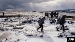 Migrants et réfugiés utilisent leurs couvertures de couchage pour se garder au chaud pendant qu’ils traversent des champs couverts de neige après avoir traversé la frontière macédonienne près du village de Miratovac, en Serbie, 18 janvier 2016.