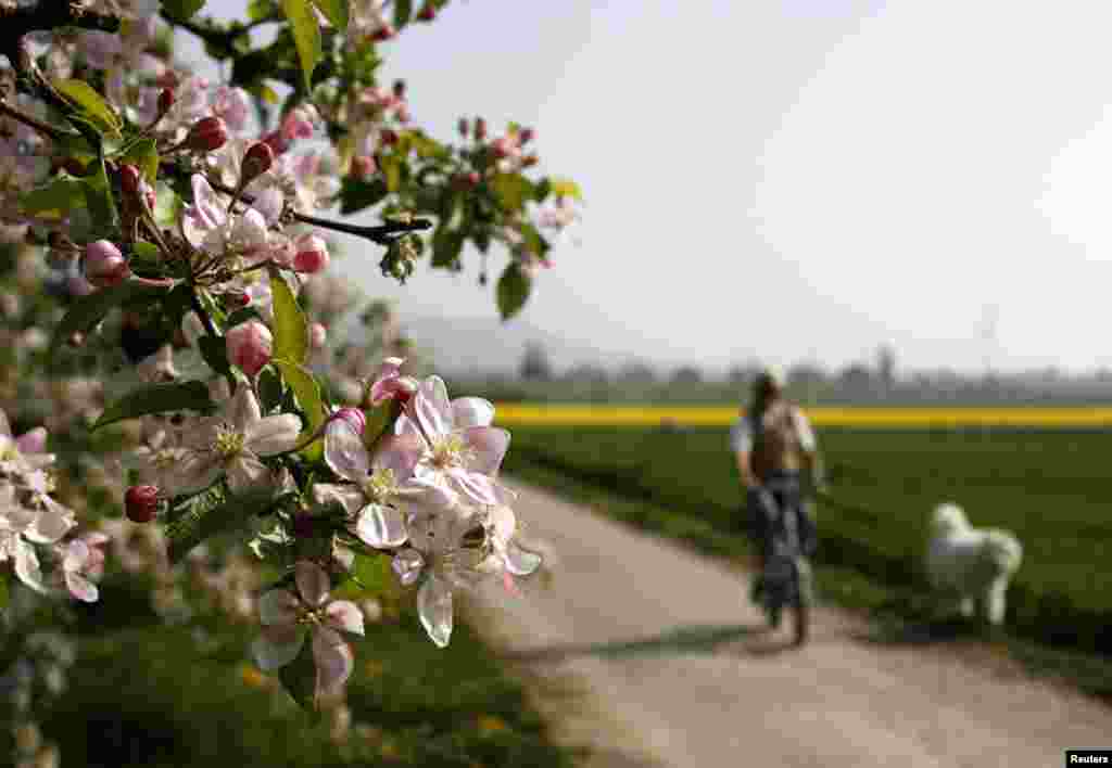 موسم بہار کی رُت