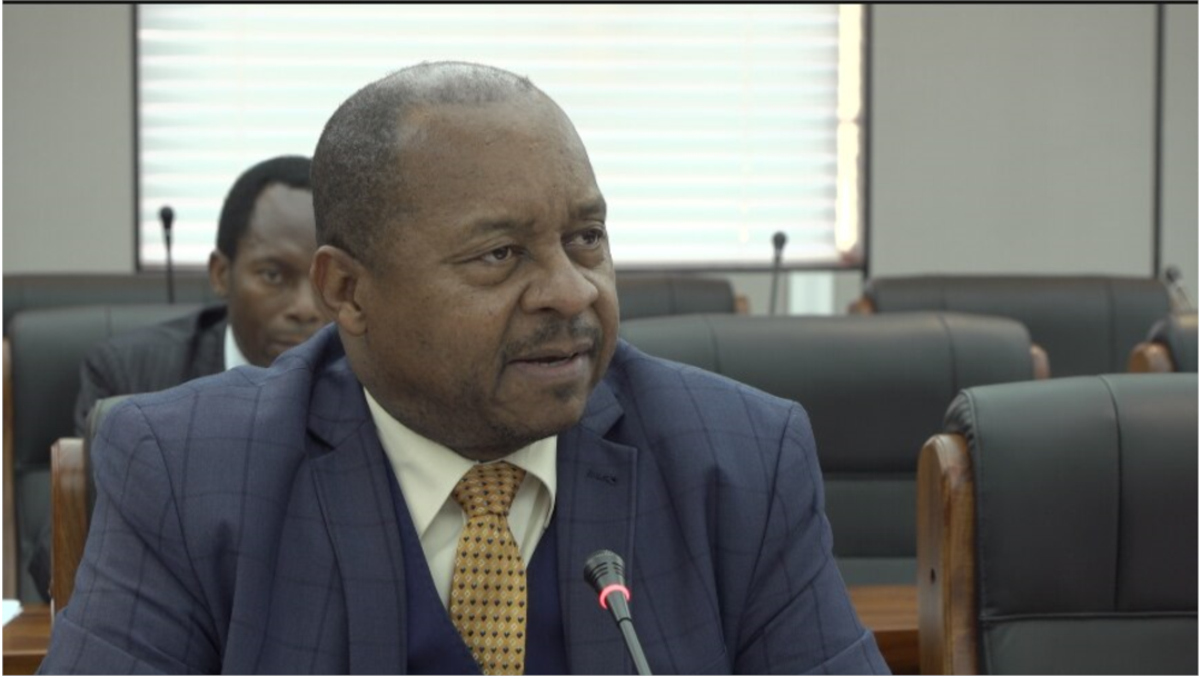 Obediah Moyo, Zimbabwe’s health minister, says the government has agreed to give doctors a 60 percent salary increase, though the workers are demanding more, in Harare, Sept. 3, 2019. (Columbus Mavhunga/VOA)