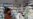 WHO Chief: Personal Hygiene Can Protect From Coronavirus Infection
