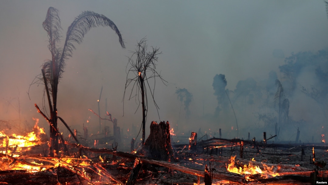 Api membakar lahan di Hutam Amazon di Machadinho do Oeste, negara bagian Rondonia , Brazil, 2 September 2019.