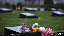 24일 뉴질랜드 크라이스트처치의 이슬람사원 총격 테러 희생자 묘비에 꽃이 놓여있다.