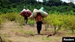 Agricultores cocaleros conocidos como "raspachines," transportan sacos con hoja de coca para ser procesada como pasta en Guayabero, provincia de Guaviare, Colombia.