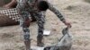 UN: Islamic State Atrocities in Mosul Need International Justice