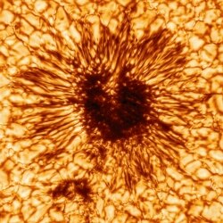 This is the first sunspot image taken on January 28, 2020 by the NSF’s Inouye Solar Telescope’s Wave Front Correction context viewer. The image shows the details of the sunspot’s structure as seen at the Sun’s surface. Image credit: NSO/AURA/NSF