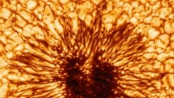 Solar Telescope Captures High Resolution Image of Sunspot
