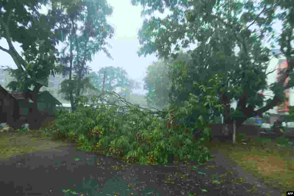 အိႏၵိယႏိုင္ငံအေရွ႕ပိုင္း Orissa ျပည္နယ္ Chandbali မွာ Amphan ဆိုင္ကလုန္း မုန္တိုင္းမတိုက္ခင္ ေလတိုက္တာေၾကာင့္ သစ္ပင္မ်ား က်ိဳးက်ေနတဲ့ ျမင္ကြင္း (ေမ ၂၀၊ ၂၀၂၀)