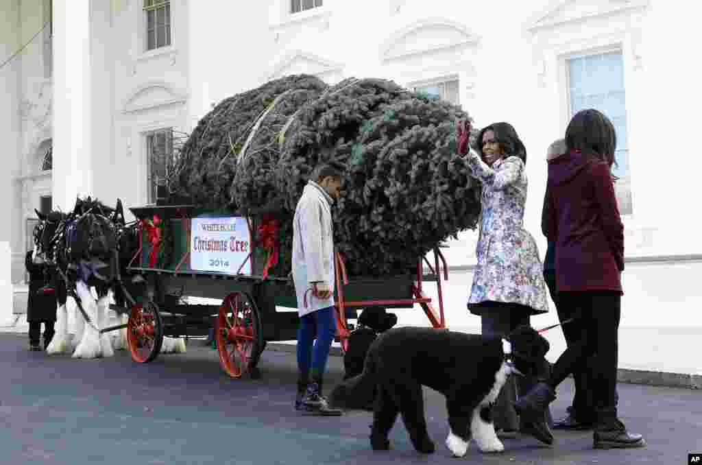 Ibu negara Amerika Michelle Obama dan kedua putrinya Sasha dan Malia menyambut kedatangan pohon Natal resmi Gedung Putih di tempat kediaman mereka. &nbsp;