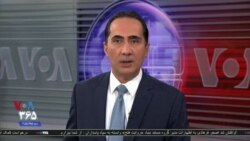 اخبار شامگاهی