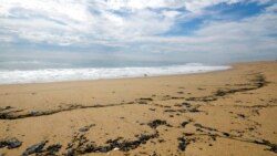 Manchas de petróleo se observan en la playa de Newport Beach, en California, el 4 de octubre de 2021, después de un derrame de crudo ocurrido durante el fin de semana en el área.