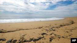 Manchas de petróleo se observan en la playa de Newport Beach, en California, el 4 de octubre de 2021, después de un derrame de crudo ocurrido durante el fin de semana en el área.