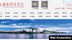武昌理工学院 (网站截图)