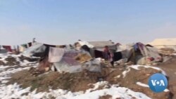 Extreme Cold Takes Its Toll on Displaced Afghans