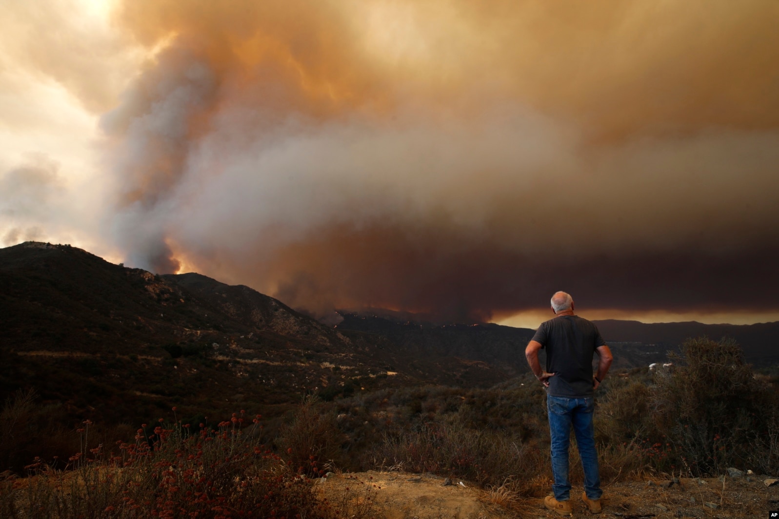 Tim Grant observa un incendio en el Bosque Nacional Cleveland en California el 8 de agosto de 2018. - AP