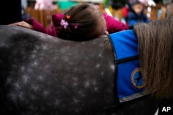 A student at a school for disabled children hugs Ivi, a miniature horse used for therapy programs, in Athens, Greece, on Thursday, Nov. 21, 2024. (AP Photo/Thanassis Stavrakis)