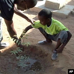 A teacher shows a student how to tend a newly planted tree