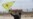 VOA Kurdish: Kurds' quest for rights in the new Syria