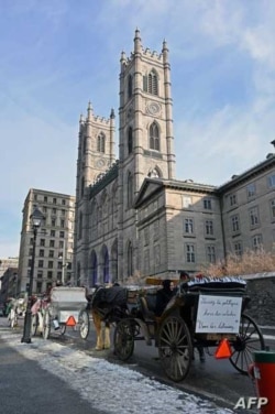 Horse-drawn carriages line up in front of the Notre-Dame basilica in Old-Montreal, waiting for tourists in Montreal, Quebec, Canada on December 22, 2019. (Photo by Eric THOMAS / AFP)