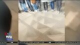 اخبار شبانگاهی