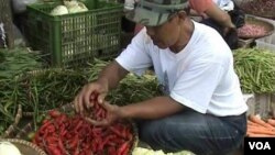 Salah seorang pedagang cabai merah di pasar Bandung.