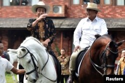 President Joko Widodo (kiri) dan Ketua Umum Partai Gerindra Prabowo Subianto berkuda di kediaman Prabowo, di Bogor, 31 Oktober 2016. (Foto: Antara via Reuters)