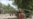 Fighting in Somali Capital Kills 17