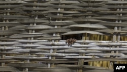 A displaced Sudanese child peers through a wood fence in the Otash internally displaced people's camp on the outskirts of Nyala town, the capital of South Darfur, Feb. 1, 2021. 