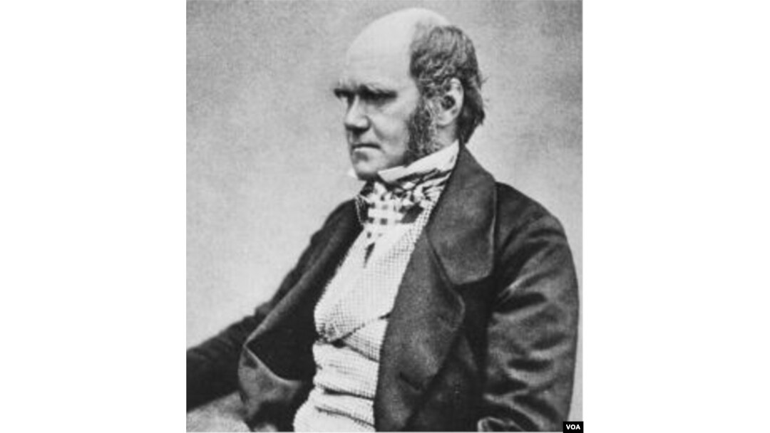 Charles Robert Darwin (1809-1882), ilmuwan Inggris yang memperkenalkan teori evolusi (foto: dok).
