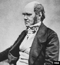 Charles Robert Darwin (1809-1882), ilmuwan Inggris yang memperkenalkan teori evolusi (foto: dok).