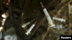 FILE - Discarded heroin syringes are stuck into a banana tree after being used by addicts in Hanoi, Vietnam, Dec. 1, 2015. Some of the syringes are re-used by poorer addicts.