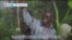 VOA60 Africa - Ugandan politician kidnapped in Kenya, transferred to Kampala, his wife says