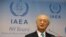 国际原子能机构总干事天野之弥 （资料照片）
