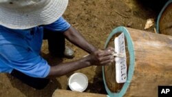 An employee of the Swiss monitoring company SGS registers a tree trunk near Buchanan, Liberia, 26 Feb 2010