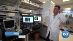 Life-Saving Organs Could Be 3D Printed to Order 