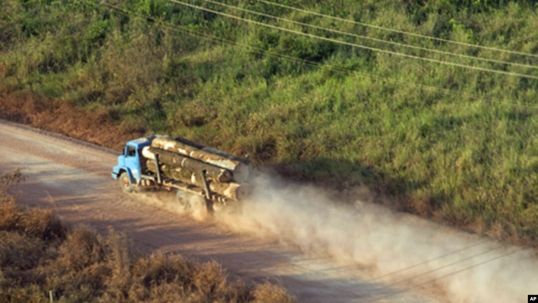 A truck carrying hardwood timber drives along a rural road leading to Paragominas, northern state of Para, Brazil (file photo)