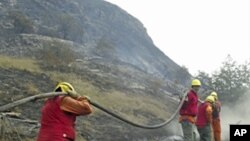 Firefighters fight a massive forest fire in Torres de Paine National Park, Chile, Dec. 30, 2011
