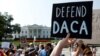 In Congress, DACA Faces Uncertain Fate 