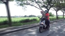 Meet Bogie, the Filipino Motorcycle Dog 