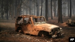 A vehicle and surrounding forest are burned after the Bridge Fire swept through, in Wrightwood, California, Sept. 11, 2024.