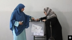 Egypt Voting School Series
