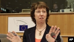 EU Foreign Policy Chief Catherine Ashton, 08 Nov 2010