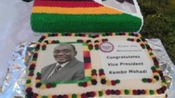 Kembo Mohadi's Colorful Cake ...