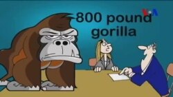 Animal ကို အခြေခံတဲ့ အီဒီယံအသုံးများ ...