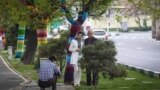 حواس تان به این روزهای تهران هست؟ تسنیم گزارش تصویری دارد در این روزهای خلوت پایتخت با عنوان &quot;تهران بهاری&quot;. این یکی از عکس های این آلبوم است.<br />
عکس: محمد دلکش، تسنیم